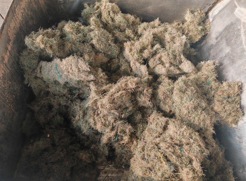 漁網(wǎng)廢渣螺旋壓榨脫水處理機器視頻